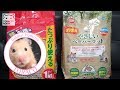 新商品の床材を試してみたよ。マルカン やさしいペーパーマット【ハムスター／キンクマ】/Hamster TORACO. A new product was tried.