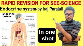 2.Endocrine system in 1 hour-SEE Rapid Revision Classes (watch in 1080p) screenshot 4