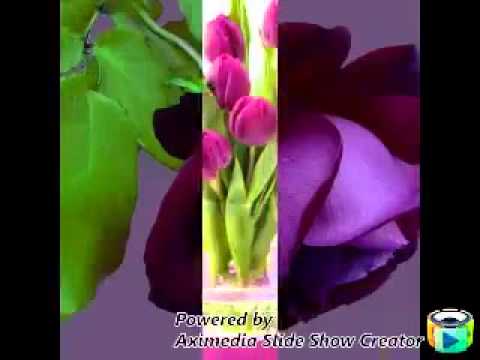 حمدالله على سلامتك يا مون مون