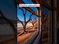 No Rain, No Problem — The Namib Desert's Unique Adaptations #desertlife #wildliferescue