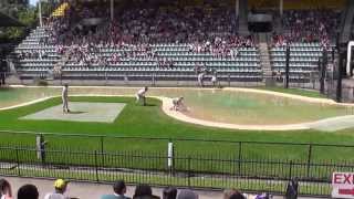 Steve Irwin's Family in the Crocoseum