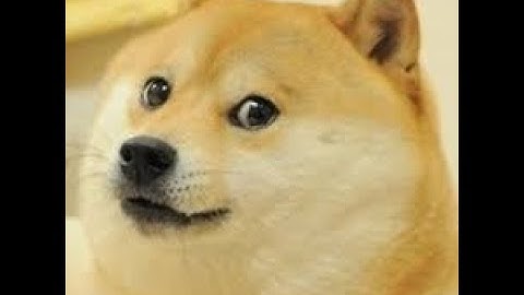 Little Alchemy 1 l How to make DOGE! l #LittleAlchemy