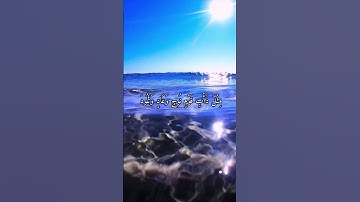 واتس اب قران كريم القارئ مشاري فالح (سوره غافر)