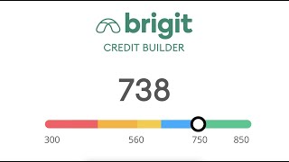 Credit Builder by Brigit: How it works