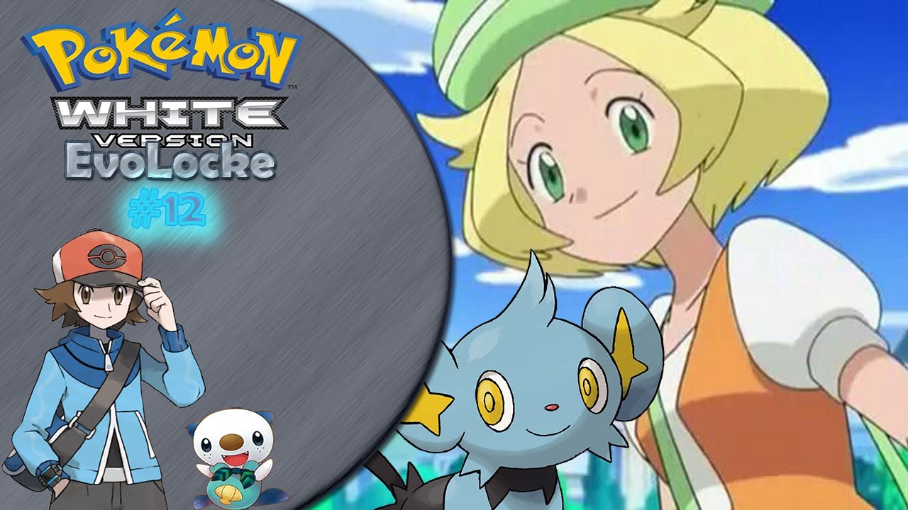 El Gran Brock Pokemon Sol Luna Preview Capitulo 103 By Terrax 06