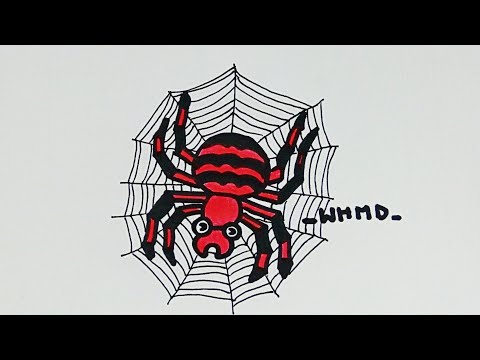 สอนวาดรูปแมงมุม How to draw a spider