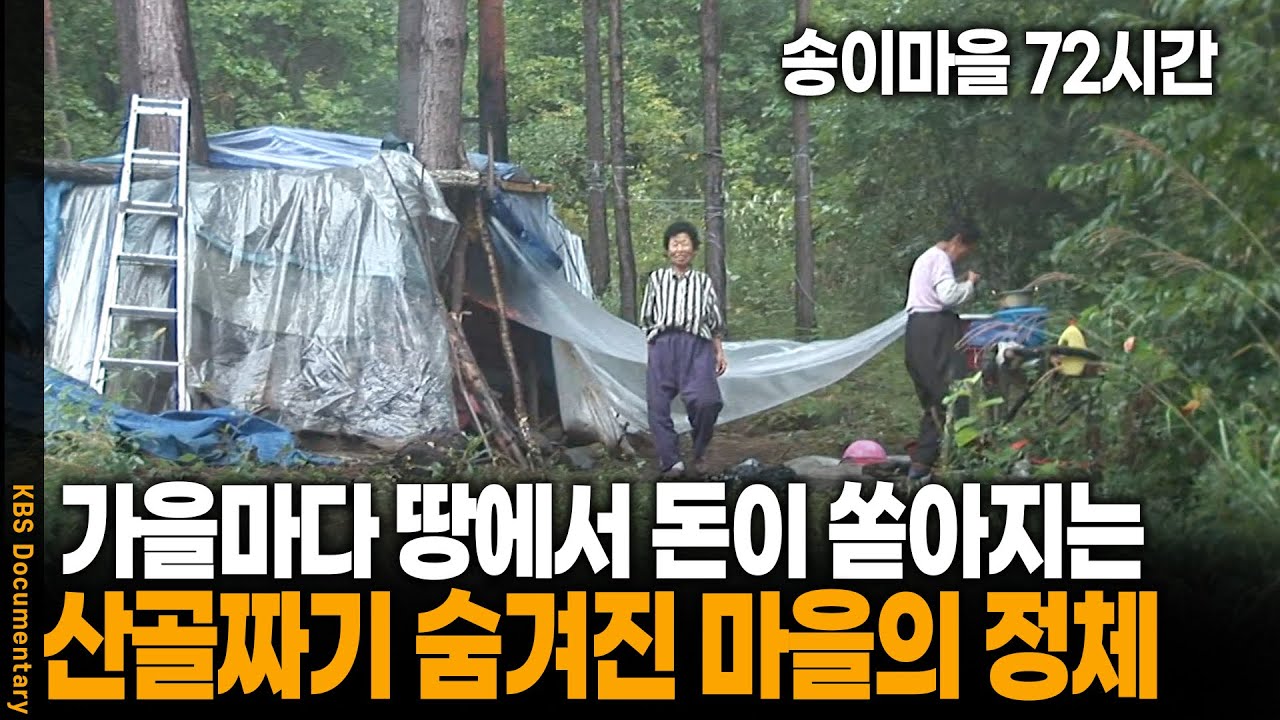 버스도 닿지 않는 산골짜리 숨겨진 마을에서 돈이 쏟아진다? 송이마을의 정체 | 송이마을 72시간 | KBS 20081004 방송