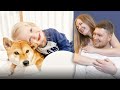 Quality time with family toddler and shiba inu dog living in poland 2024