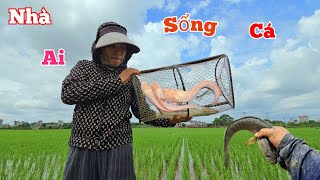 Download Lagu Cựa Uỳnh Uỵch Trong Lờ Ai Ngờ Bắt Đúng Ổ Cá Trê Bỏ Sót Sau Lũ Lụt... MP3 Download Lagu Cựa Uỳnh Uỵch Trong Lờ Ai Ngờ Bắt Đúng Ổ Cá Trê Bỏ Sót Sau Lũ Lụt... MP3