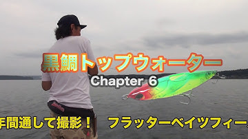 実釣解説！富山のルアーフィッシング予告