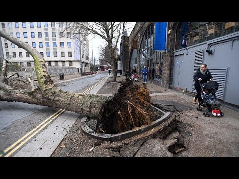 Video: Каунти Вексфорд жөнүндө эмнени билишиңиз керек