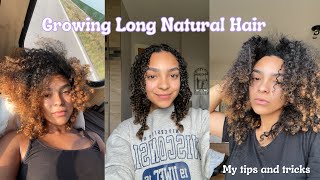 Growing My Natural Hair | Tips and Tricks That Work For Me| Hair Growth Journey