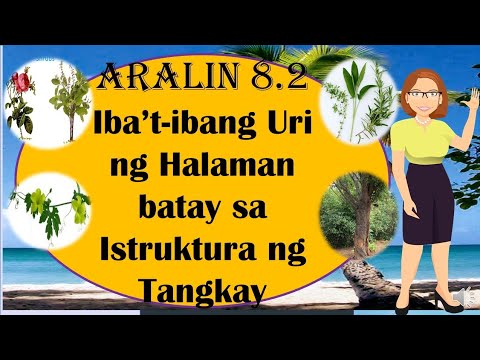 Video: Karaniwang Abo (30 Larawan): Paglalarawan Ng Puno, Dahon At Prutas. Taas At Root System, Pendula, Summit At Iba Pang Mga Pagkakaiba-iba