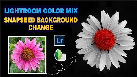 Lightroom color mix Tutorial | photo color changing | snapseed background change | flower Editing