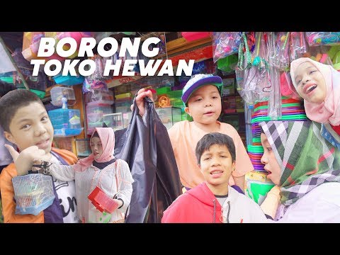 Video: Bagaimana Memilih Toko Hewan Peliharaan