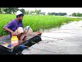 Hook Fishing - Traditional Hook Fishing - MR Fishing Life (Part-72)