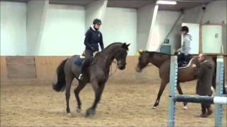 Sopanen, Marko Itos, Pether Marknes Clinic 2014