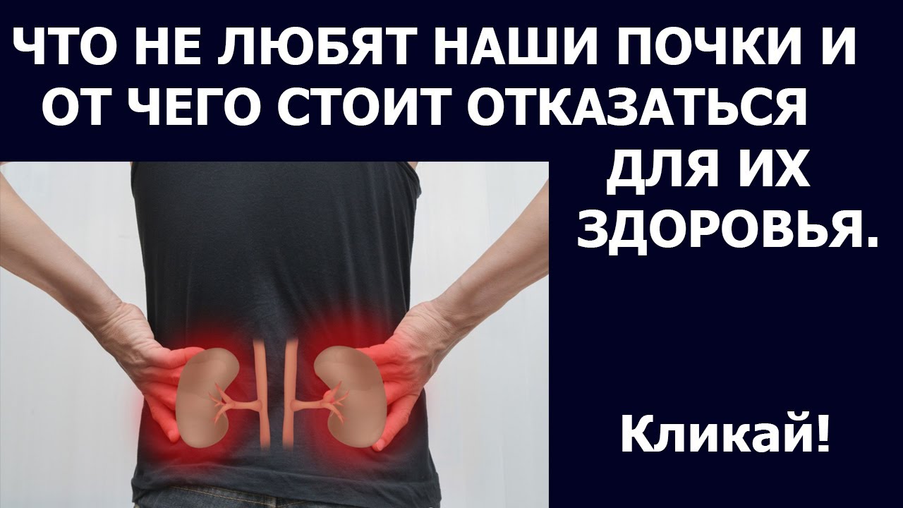 Здоровье почек Что не любят наши почки и что делать для здоровья почек