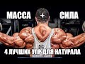 МАССА+СИЛА - 4 ЛУЧШИХ упражнения для НАТУРАЛА