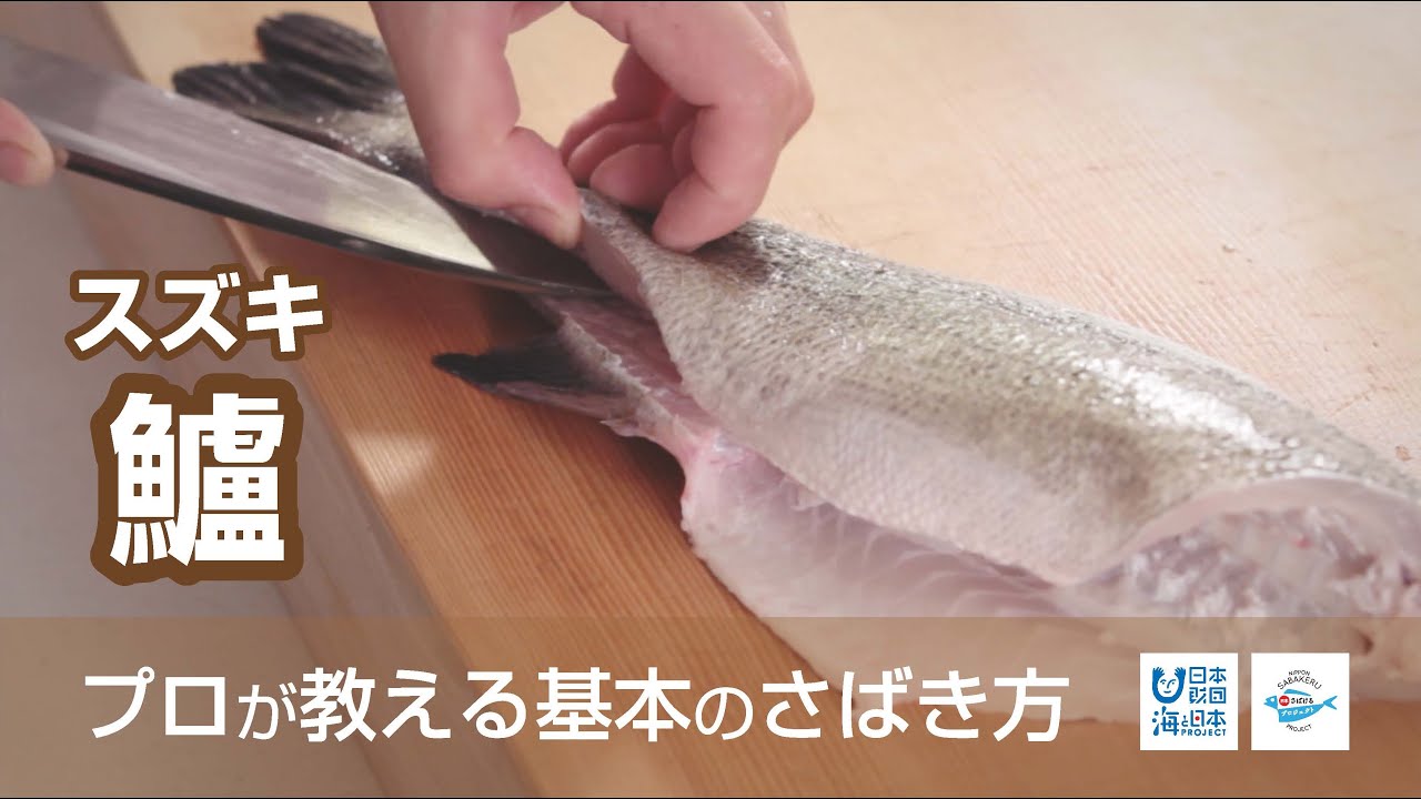 スズキというお魚 旬 値段 食べ方を魚屋がご紹介