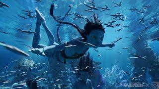 Avatar 2 | WETA FX | Houdini Connect