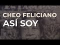 Miniature de la vidéo de la chanson Así Soy