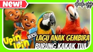 Burung Kakak Tua | Upin & Ipin 🎶 Kumpulan Lagu Anak Balita Populer | UPIN IPIN BURUNG KAKAKTUA