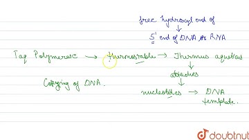 Match column I with column II and select the correct option from the codes given below {:(,Colum...