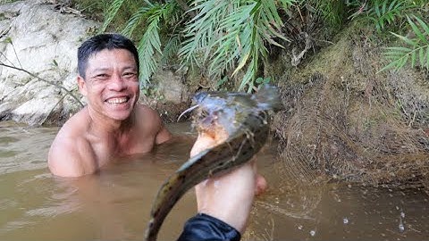 Theo Chân Người Có Kinh Nghiệm Đi Bắt Cá Lăng Sông || Quăng Chài Bắt Cá Sông