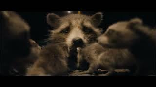 Rocket Discovers he is a Raccoon - Guardians of the Galaxy 3 Clip HD