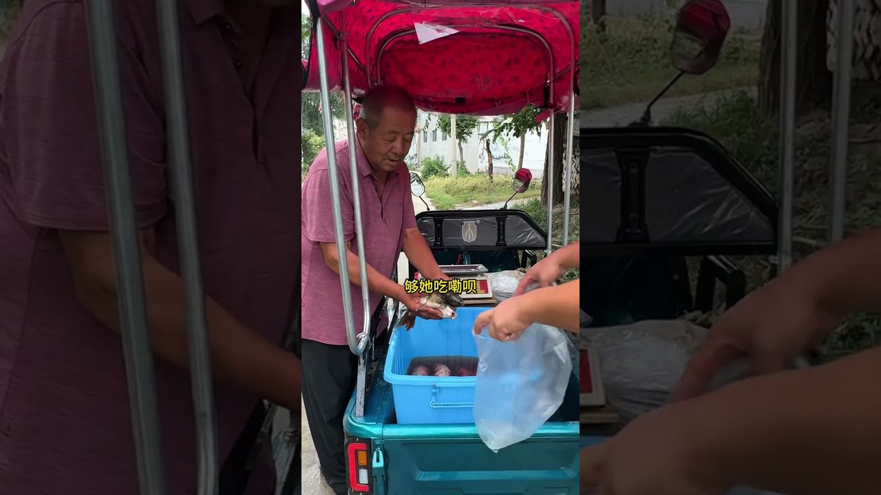 今天不卖糟鱼，卖鲜鱼#乡村生活 #记录真实生活 #三农