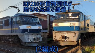 EF210形牽引の貨物列車が踏切を高速で通過！