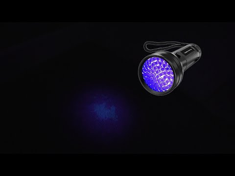 Detecting Urine with Black Light