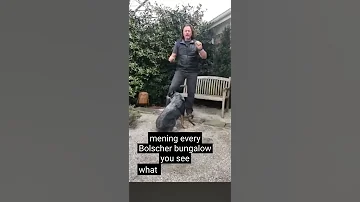 Closed Caption Reveals Dog Trainer Nonsense Talk Lol Closedcaption Dogtraining 