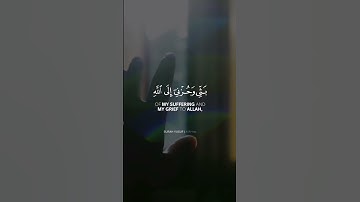 سورة يوسف | القارئ مشاري فالح