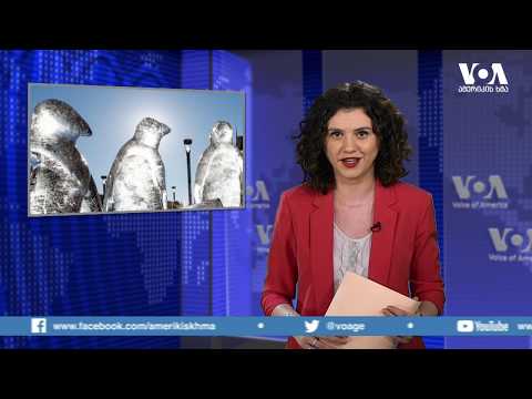 “სტუდია ვაშინგტონი”   13 02 20