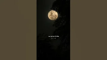المرء لا تشقيه إلا نفسه 