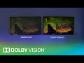 Dolby vision qi  dolby vision  dolby