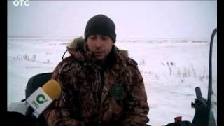 В Новосибирской области браконьеры убили девять косуль на территории заказника(, 2014-12-12T06:16:08.000Z)