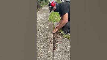 Satisfying Garden Cleaning 🌿 | Relaxing Lawn Care ASMR