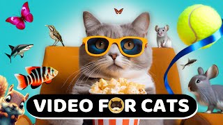 CAT GAMES - Mice, Birds, Squirrels, Strings, Fish, Butterflies, Tennis Ball | CAT TV Compilation.
