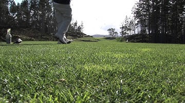 Carmanah Live, Work & Play