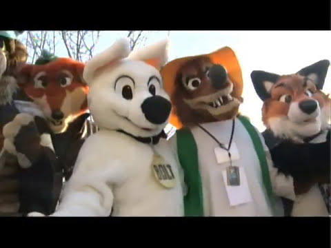 lapfox trax twitter Silly Furries Are Silly Dum Dum Diday Midwest Fur Fest part 4