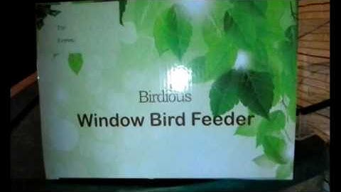 Birdious Large 100% Clear Window Bird Feeder Review