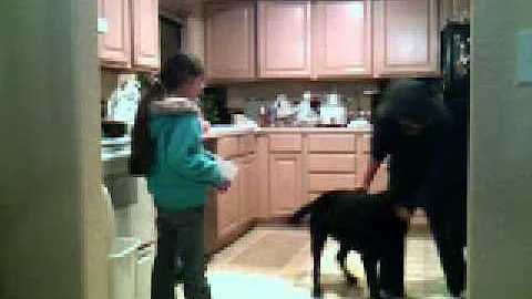 ruby cortez the dog