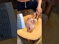 #meat #expertbutcher #fullgoatcutting #people #trampoline #shortvideo #shorts