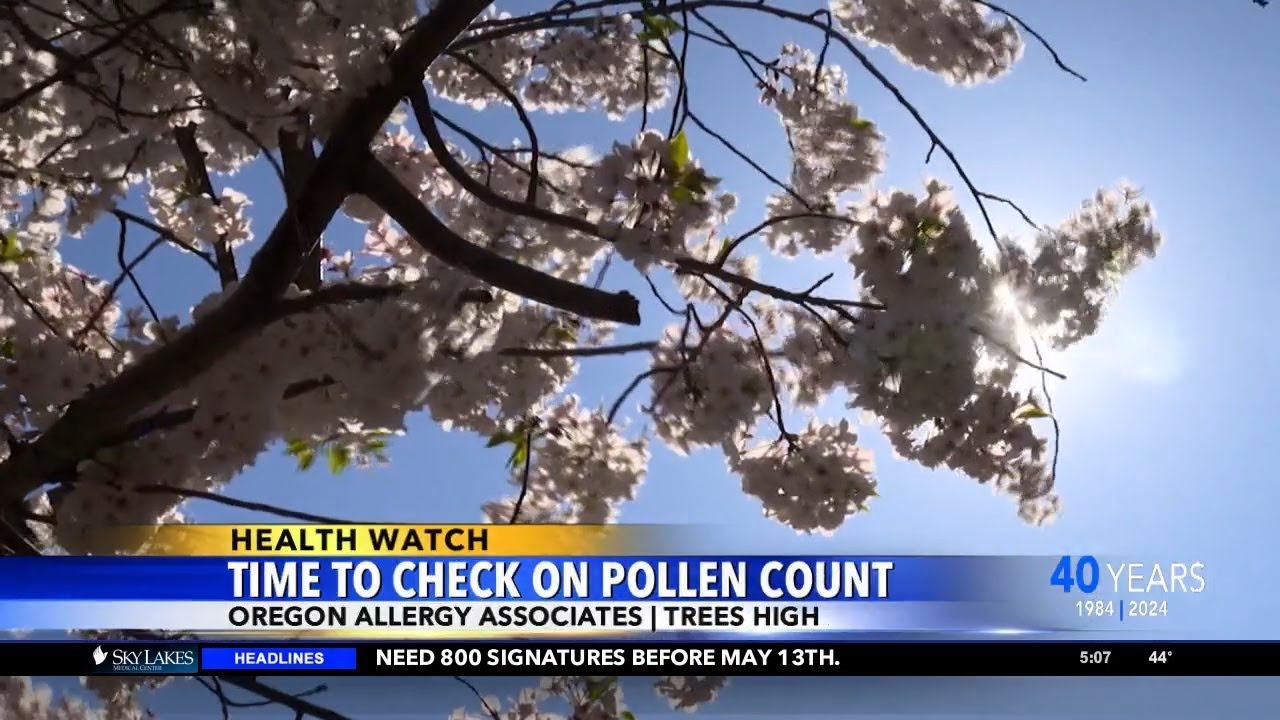 Oregon allergy season beginning