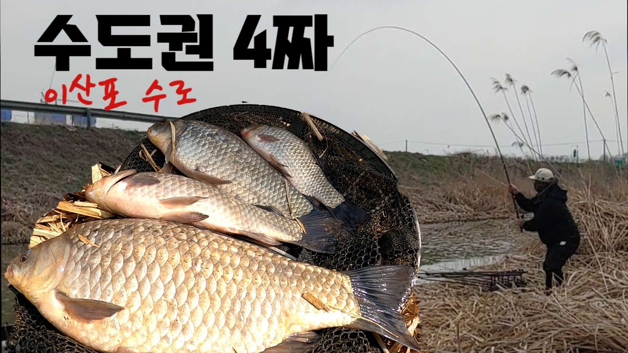 이산포수로 에서 만난 깨끗한 4짜붕어!! 붕어낚시