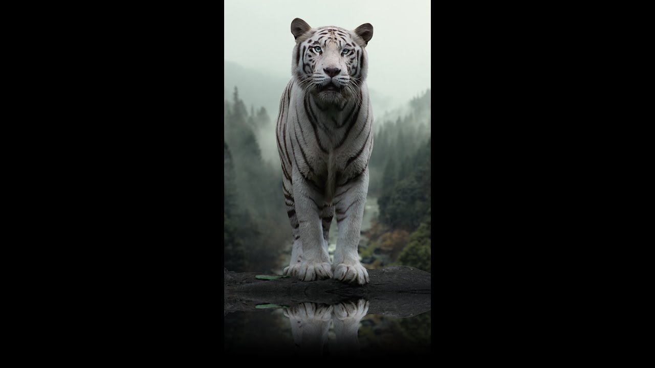 Create reflection in Photoshop #shorts