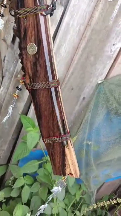 Duku Nyabur Dayak